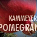 Free Pomegranates – THIS SUNDAY!